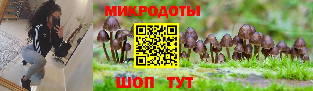 Галлюциногенные грибы GOLDEN TEACHER  Вход с VPN  Галлюциногенные грибы мухоморы  Иваново 